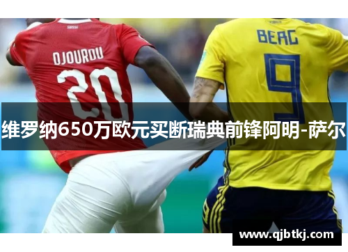 维罗纳650万欧元买断瑞典前锋阿明-萨尔